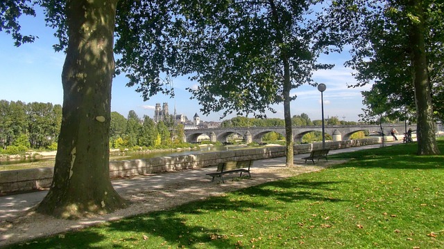 le pont d’Orléans, dans la Loire