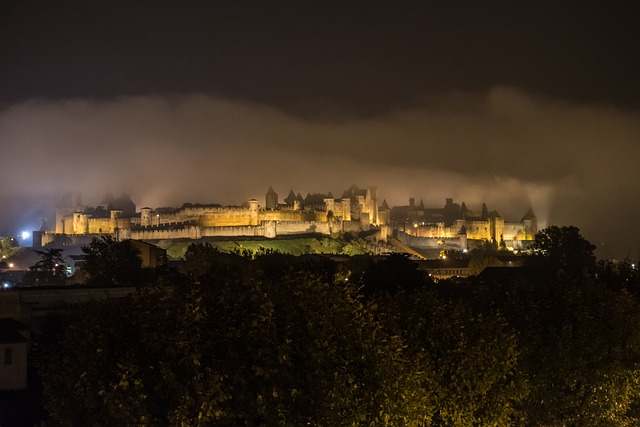 la Cité de Carcassonne la nuit