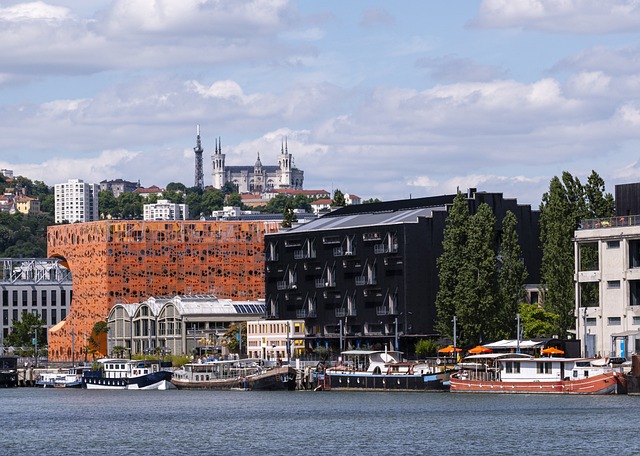 le fleuve Saône, Lyon