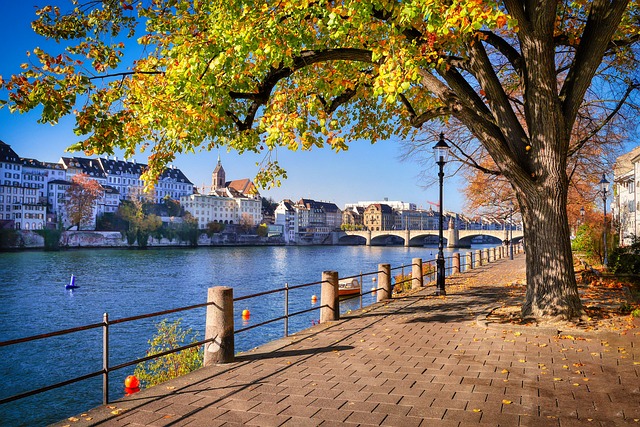 le fleuve du Rhin