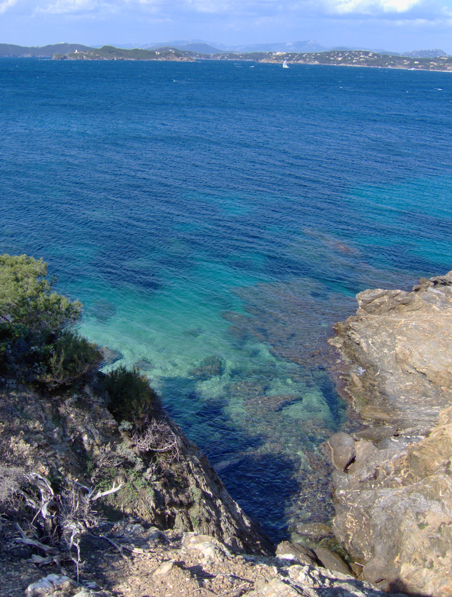 Porquerolles, Hyères, Glacier bio