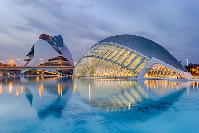 la Cité des Arts et des Sciences à Valence