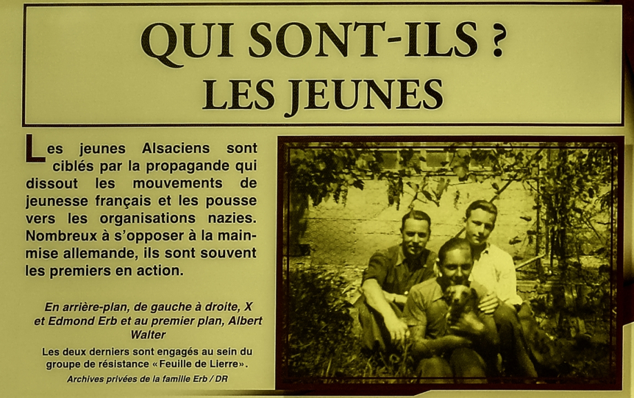 Qui sont-ils ? 
Les jeunes