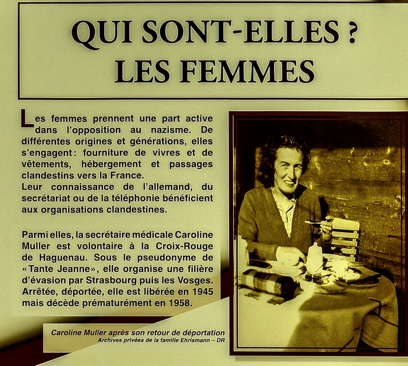 Qui sont-elles ? 
Les femmes