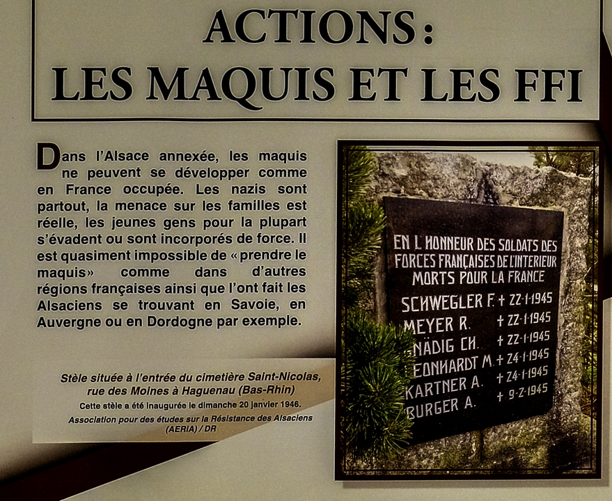 Les actions : 
Les maquis et les FFI