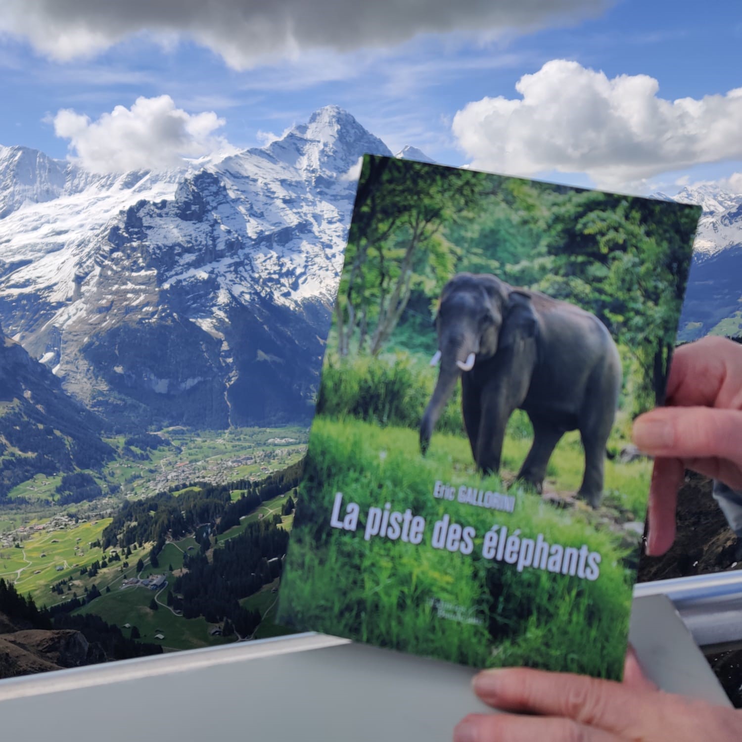 Daniele, La piste des éléphants dans les Alpes Suisses...