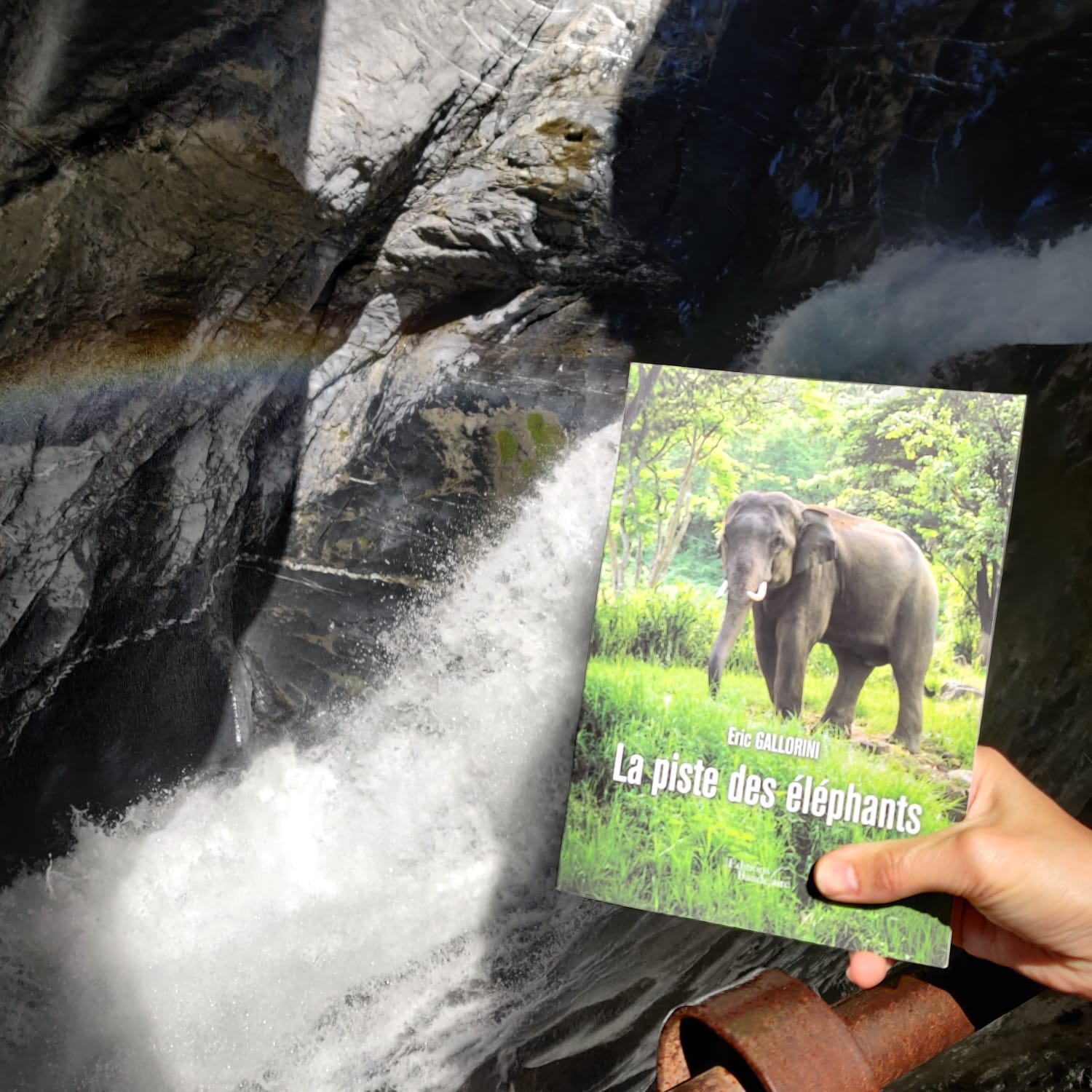 La piste des éléphants dans les Alpes Suisses, merci Daniele.