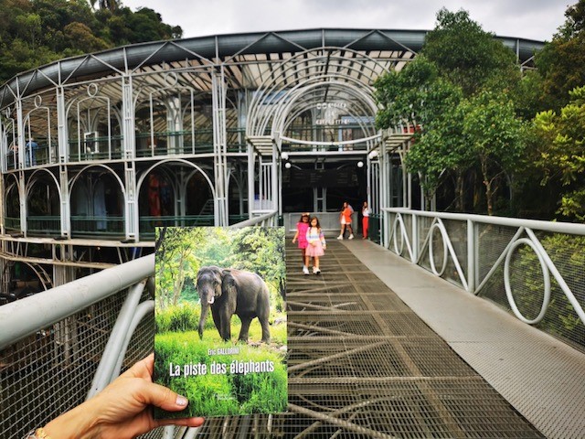 la piste des éléphants au Brésil, Opéra de Aramé , Curitiba. Merci Daniele.