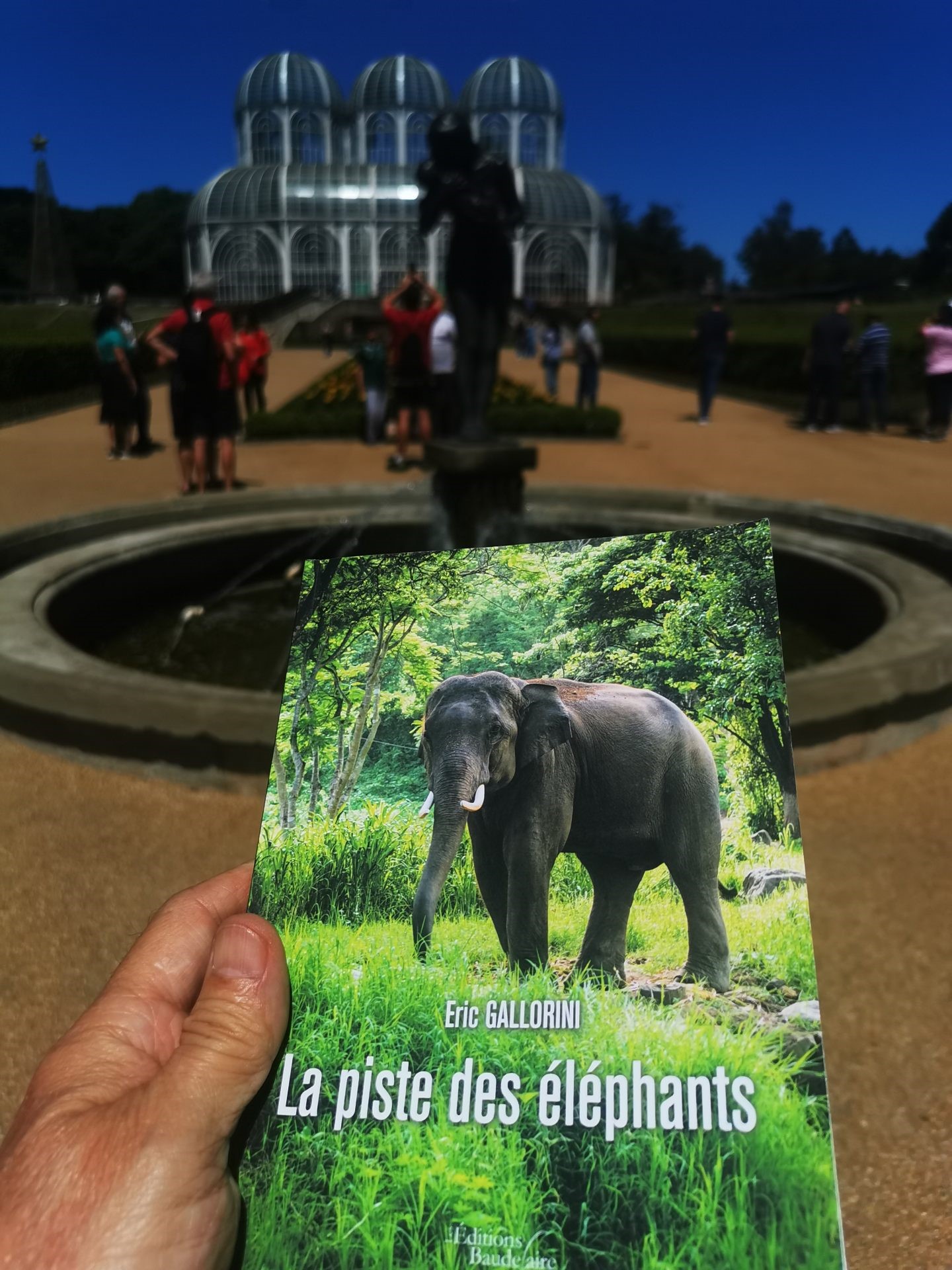 la piste des éléphants au Brésil, Opéra de Aramé , Curitiba. Merci Daniele.