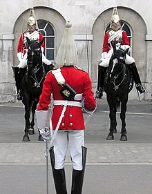 horse guard.jpg