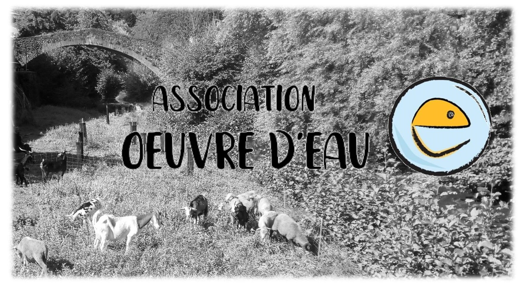 Association Oeuvre d'Eau