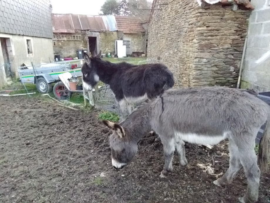 Marius et Hubert