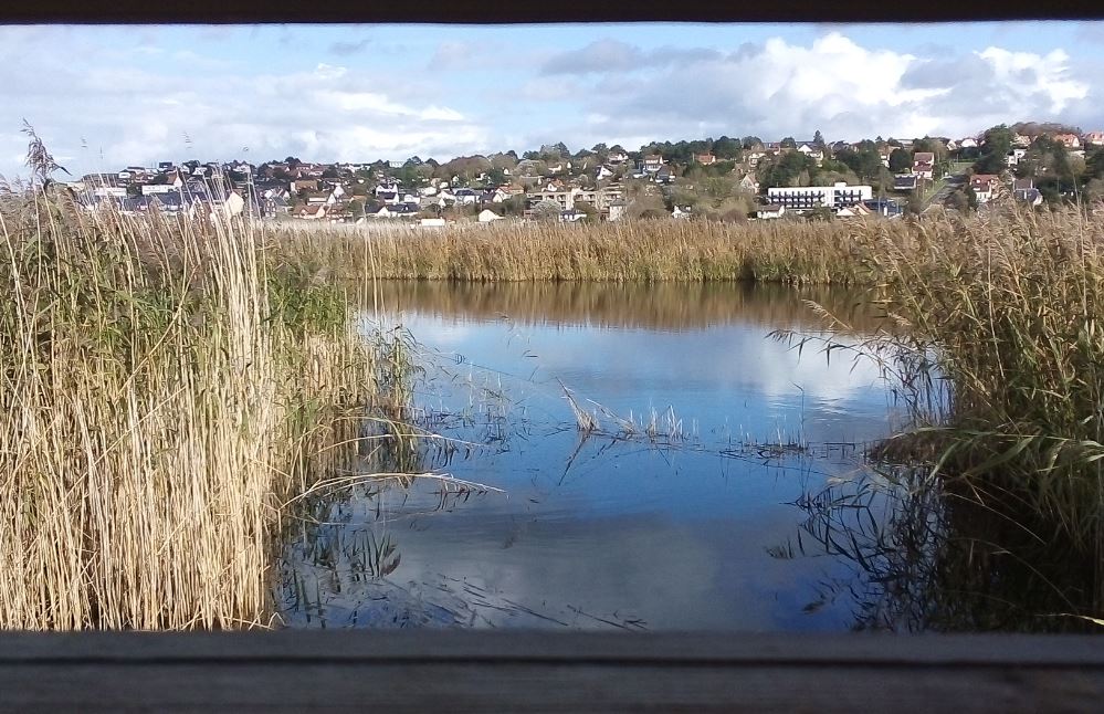 Pour en savoir plus ;  https://actu.fr/normandie/criel-sur-mer_76192/criel-sur-mer-observatoire-installe-coeur-zone-humide_30720186.html
