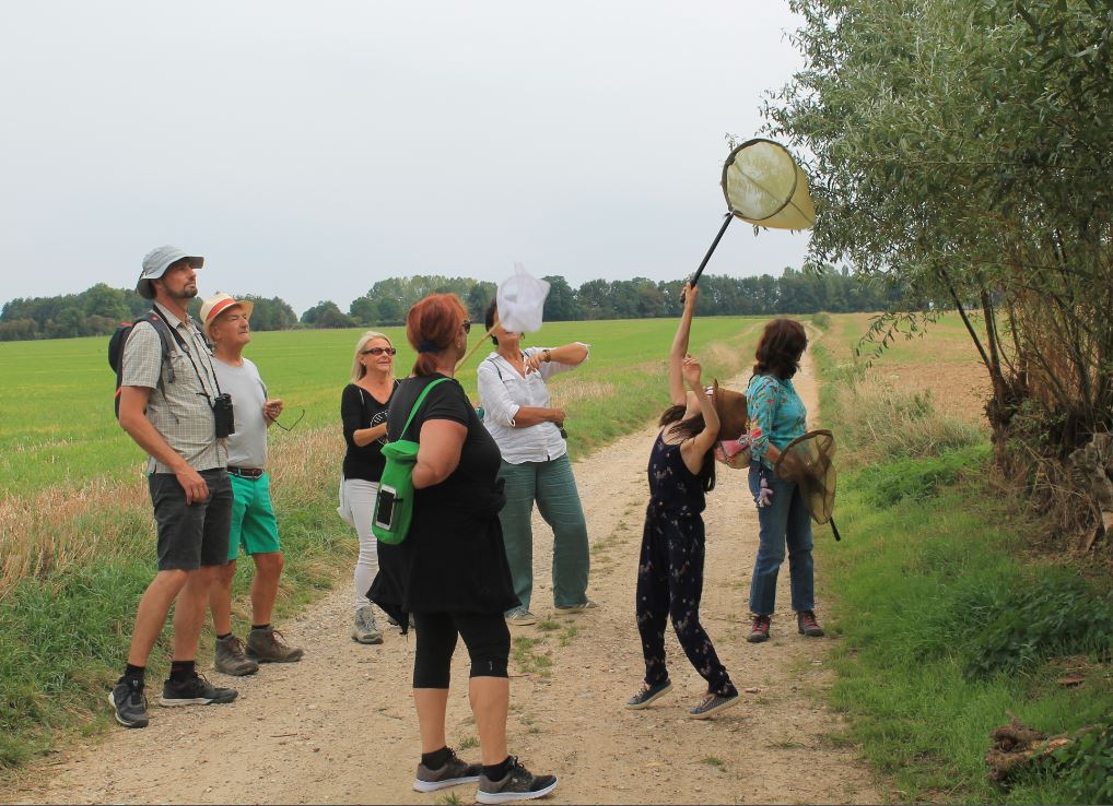 Chasse aux papillons au départ de Melleville