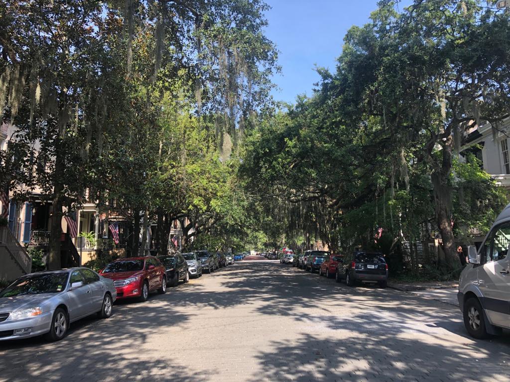 Rue de Savannah et ses charmants chênes