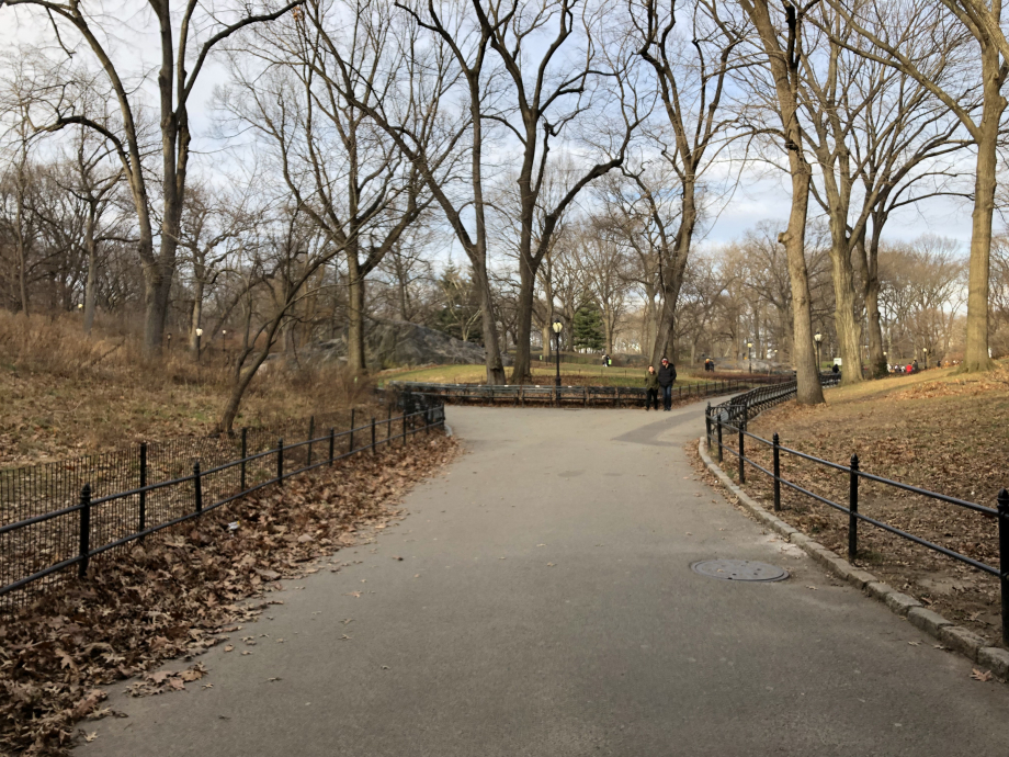 Central Park (au cas où vous n’auriez pas reconnu)