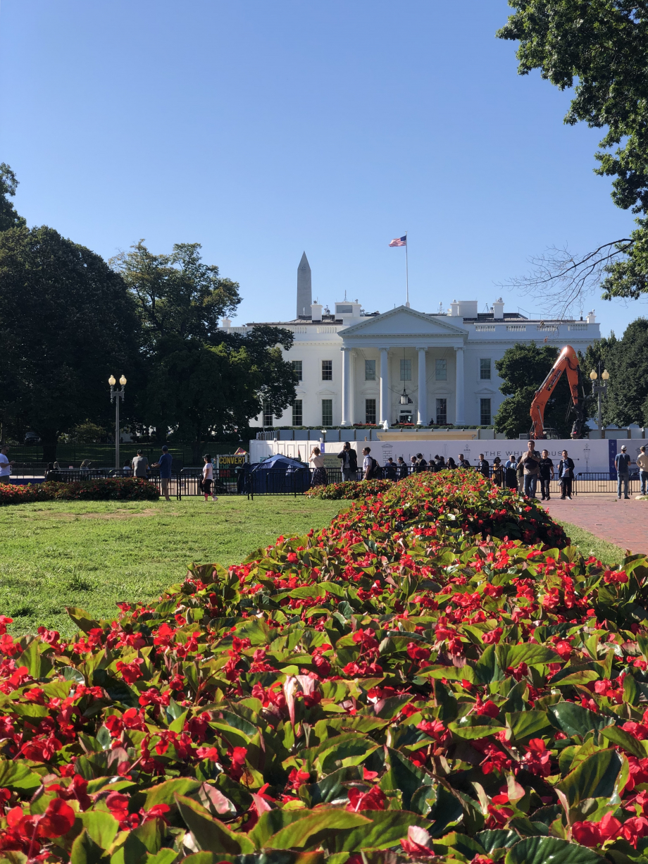 La Maison Blanche 2, vue de dos