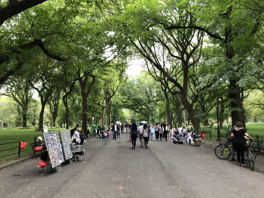 La grande allée de Central Park