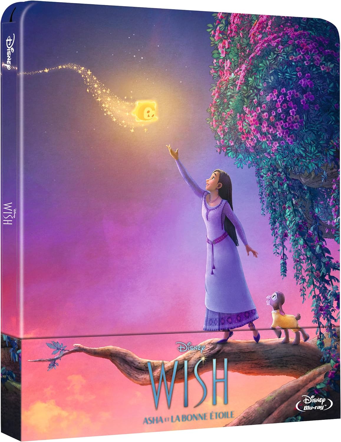 EAN :  3701432034447 - Wish : Asha et la Bonne Étoile | Steelbook Blu-Ray