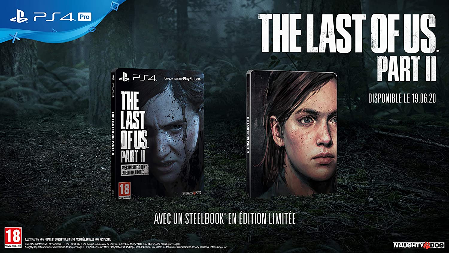 the last of us part 2 guide book