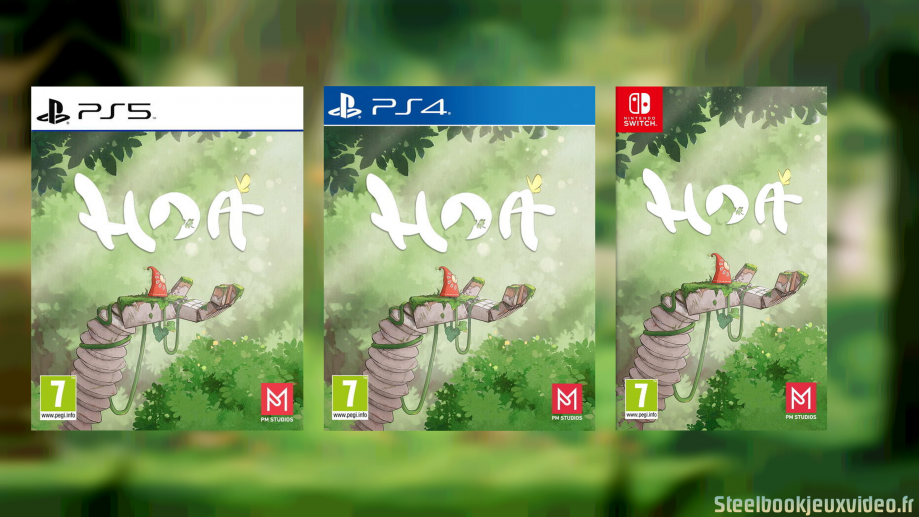 hoa-ps5-ps4-switch (1)