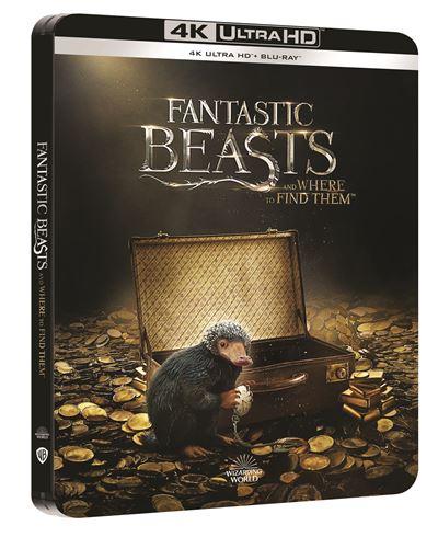 Les-Animaux-fantastiques-Steelbook-Blu-ray-4K-Ultra-HD