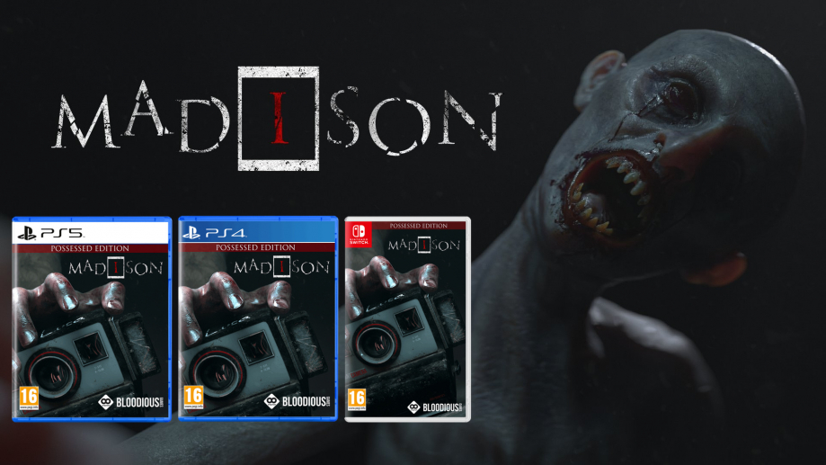 madison-ps5-ps4-switch (1)