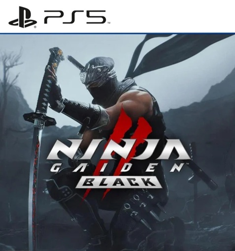 ninja-gaiden2