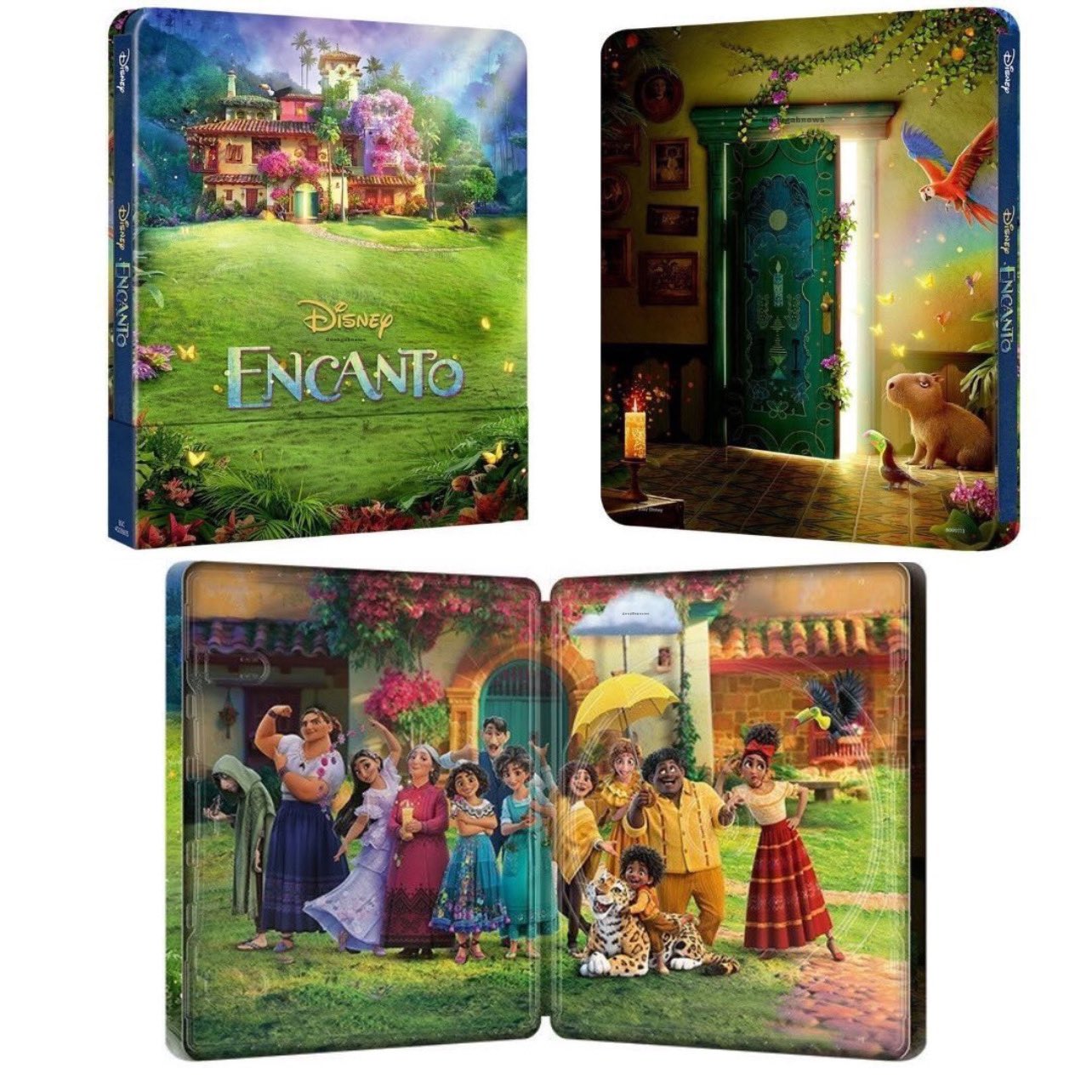 Encanto : La Fantastique famille Madrigal - Edition Spéciale Fnac Steelbook Blu-ray