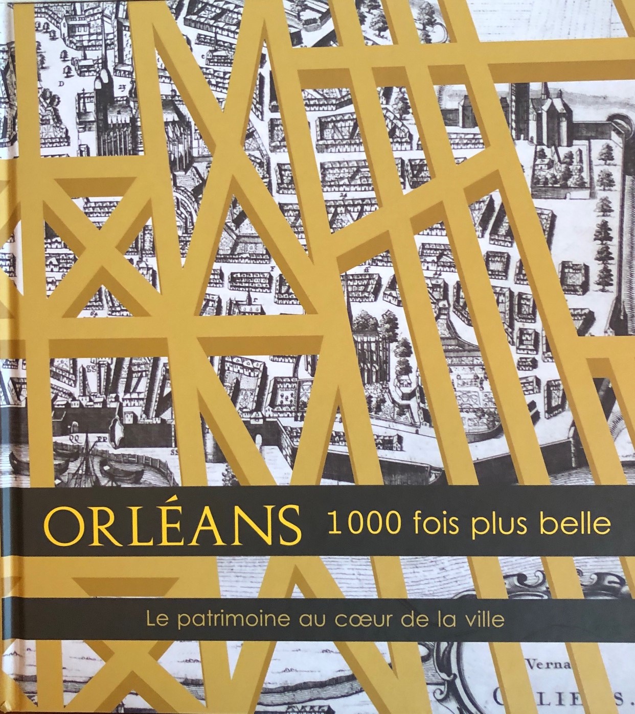 ORLEANS MAZUY - Orléans 1000 fois IMG_1361