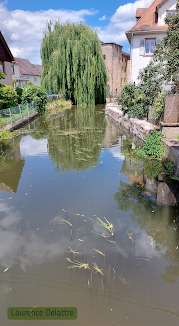 Abbaye 5 (1100 x 2000 px) (1)