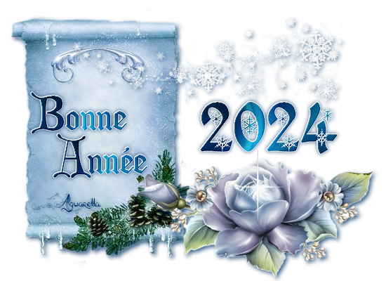 Bonne-ann--e-2024-parchemin-rose-d--hiver