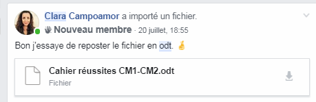 cahier clara.PNG