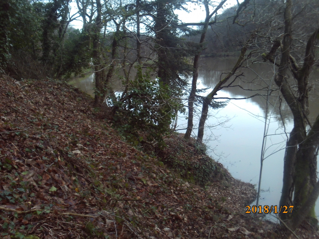 Nettoyage des rives de l'étang de Beaulieu à St Cast-le Guildo