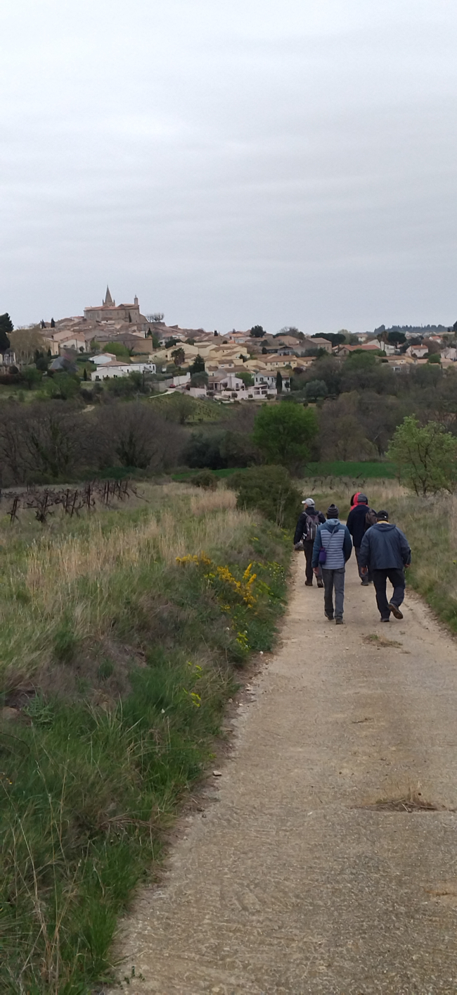 25 mars 2024 - groupe marches - sortie alentours de Murviel Les Béziers