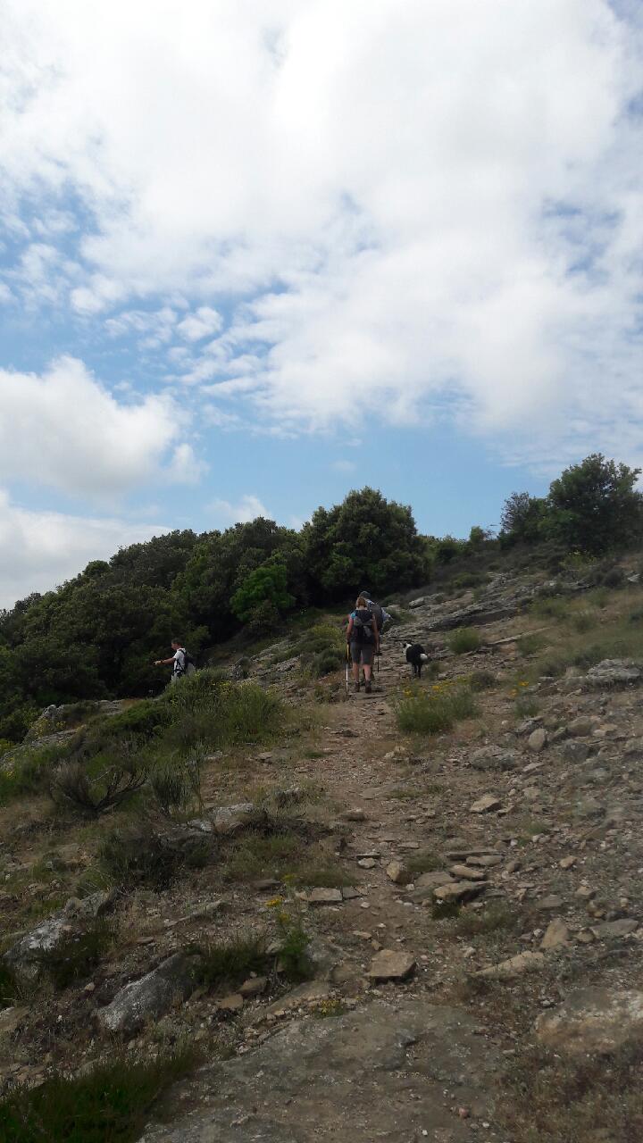 Vendredi 14 juin 2024-Randonnée journée-Madale-Rosis