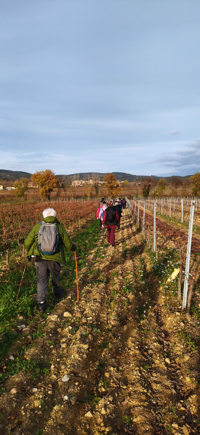 17/12/2024 - groupe marches actives : alentours de Neffiès