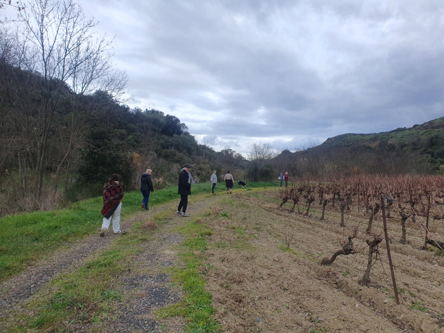 Lundi 06 janvier 2025 - Randonnées intermédiaires - Autour de Gabian