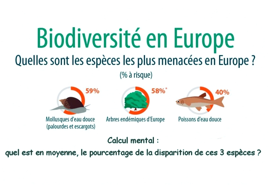 disparition des especes 1