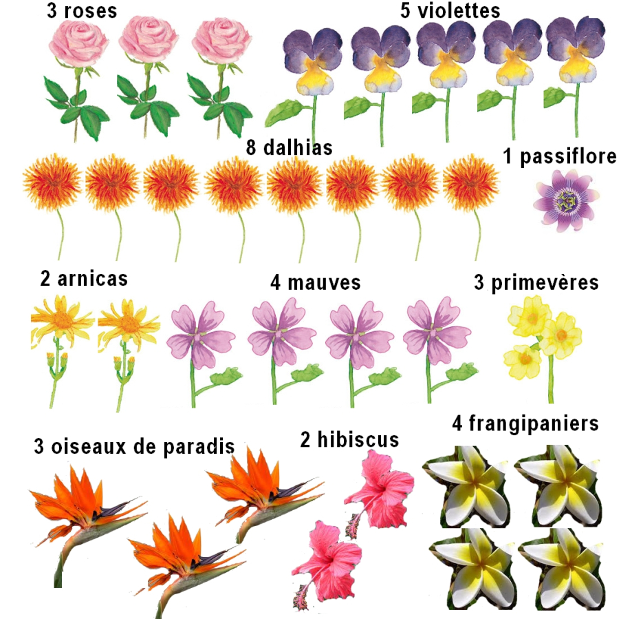 doc L Nombre avec fleurs