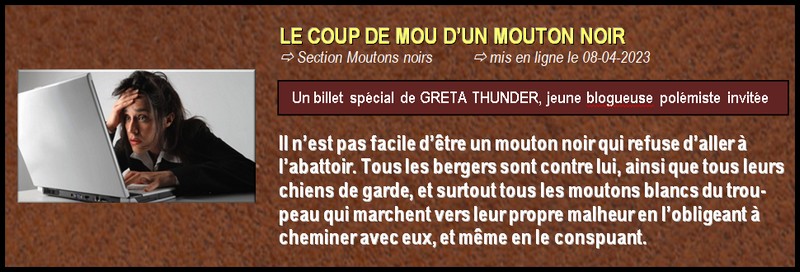 https://static.blog4ever.com/2019/02/850968/2023-04-08--coup-de-mou-mouton-noir-.jpg