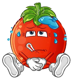https://static.blog4ever.com/2019/02/850968/Grippe-tomate.png