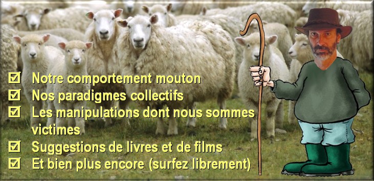 https://static.blog4ever.com/2019/02/850968/Moutons-troupeau-12.jpg
