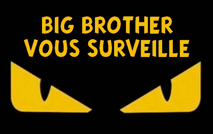 https://static.blog4ever.com/2019/02/850968/Paradigmes---Politique---Disparition---lus---Big-Brother.jpg
