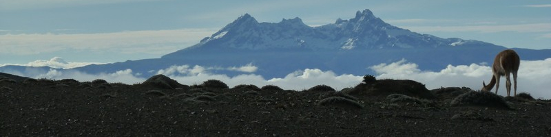 Lamahuana - Les aventures d'Elise et Hugues en Equateur