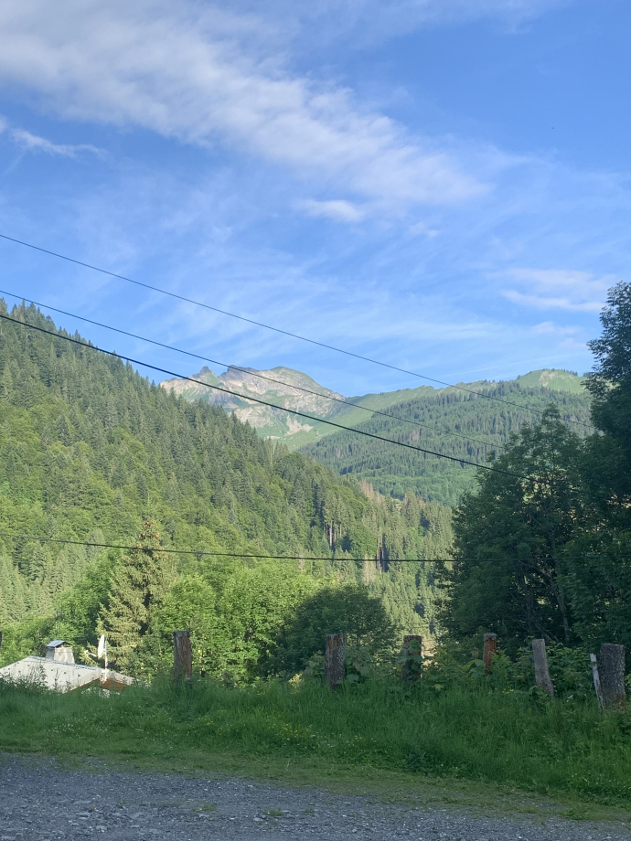 Premier matin au chalet et première vue !