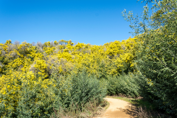 Au détour du chemin