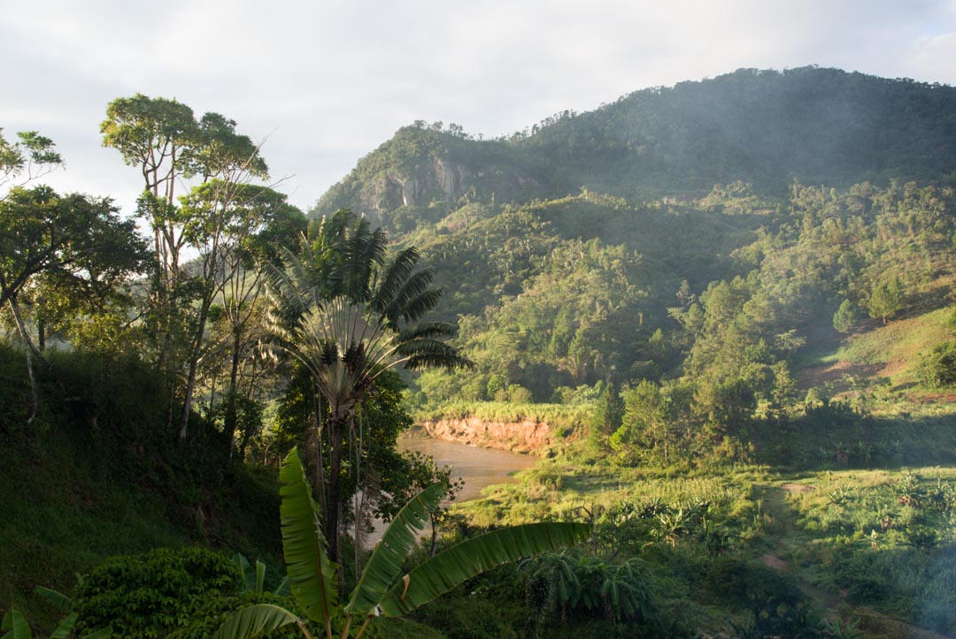 parc-ranomafana-madagascar