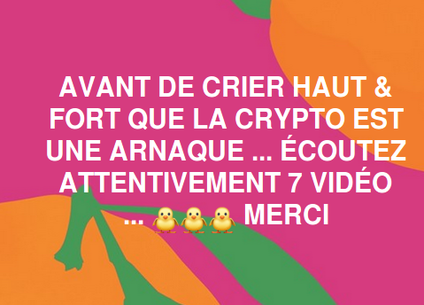 CRYPTO.ARNAQUE.VIDEO.png