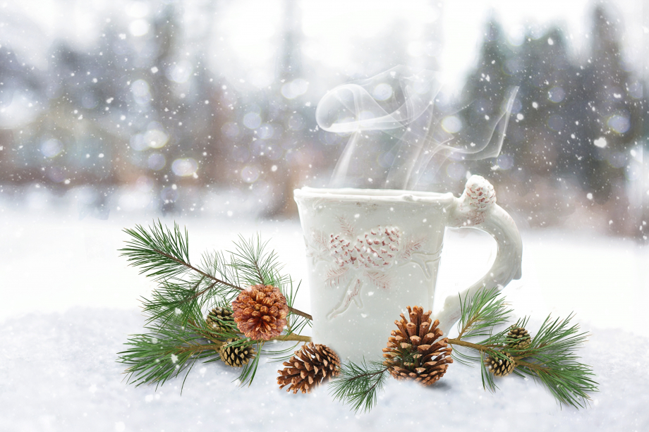 tree-branch-snow-winter-coffee-white-830594-pxhere.com.jpg